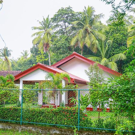 Villa Ravichini Polonnaruwa Esterno foto