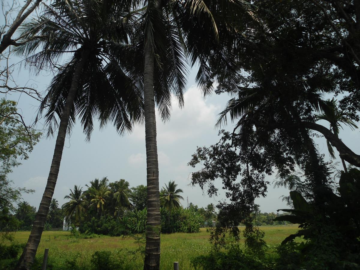 Villa Ravichini Polonnaruwa Esterno foto