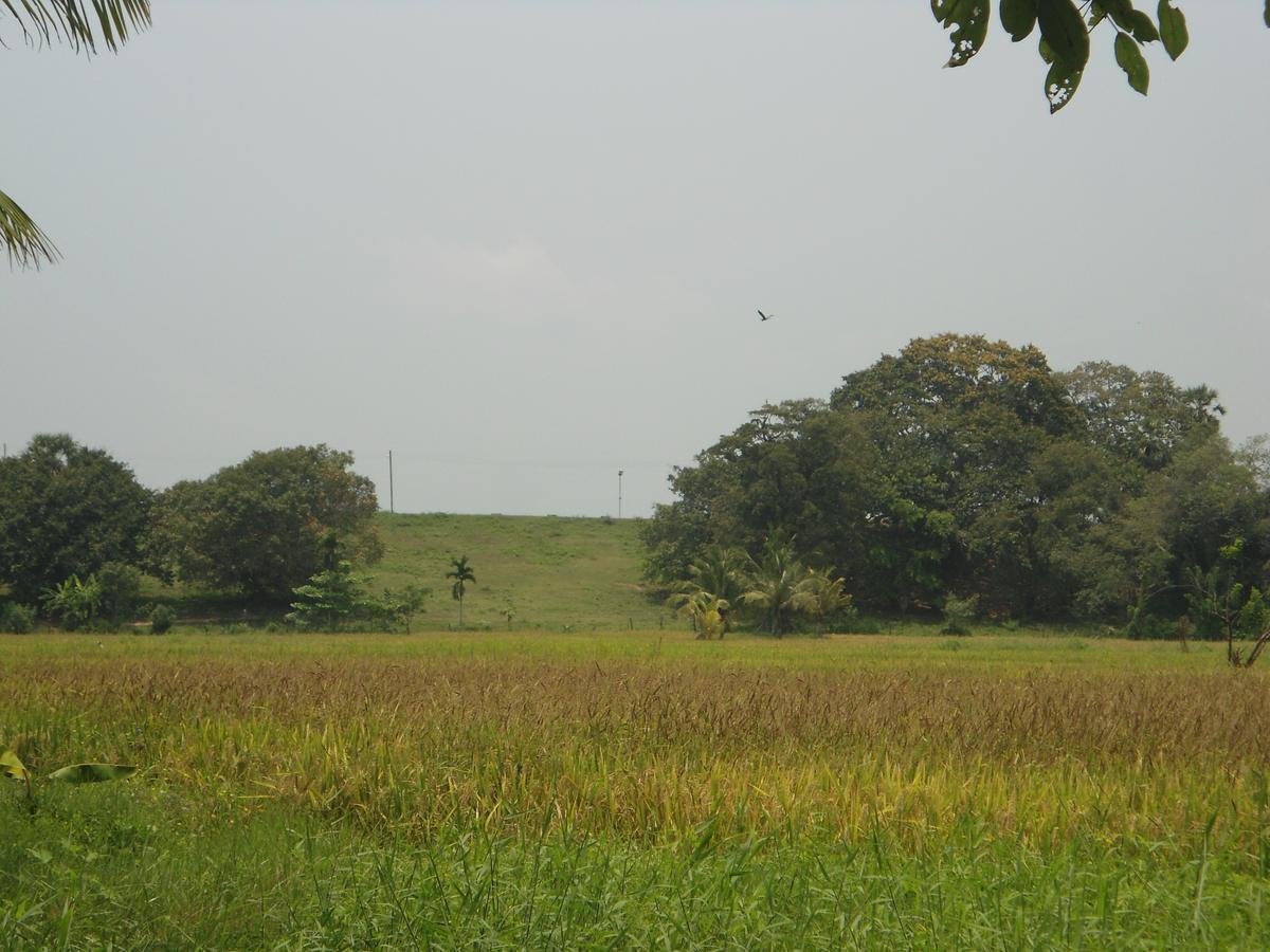Villa Ravichini Polonnaruwa Esterno foto